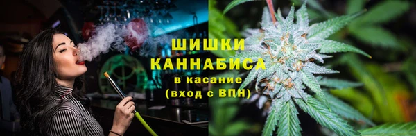 сатива Горняк