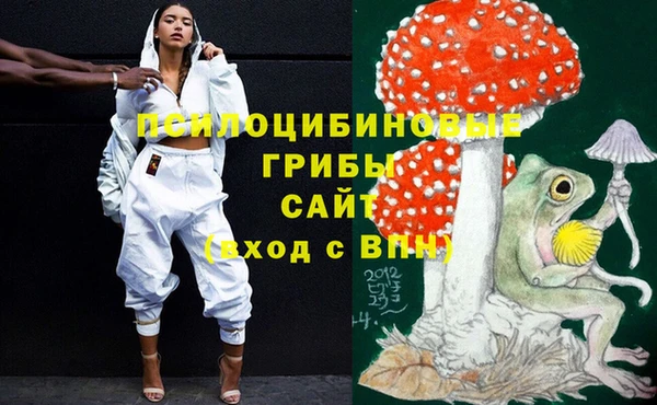 сатива Горняк