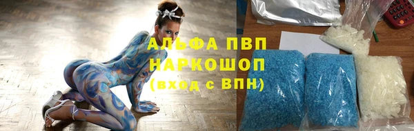 сатива Горняк
