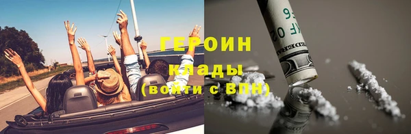 сатива Горняк