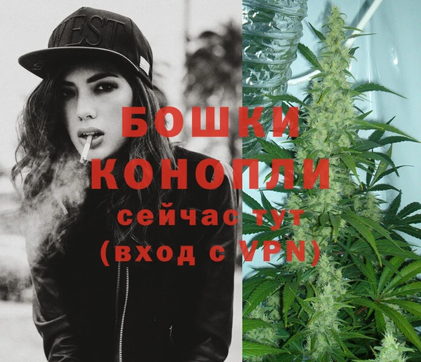 альфа пвп Горно-Алтайск