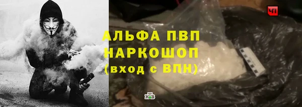 сатива Горняк