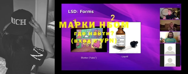 сатива Горняк