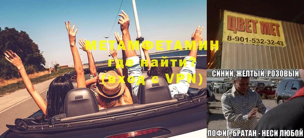 сатива Горняк