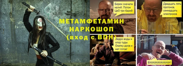 сатива Горняк