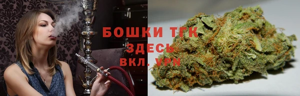 сатива Горняк